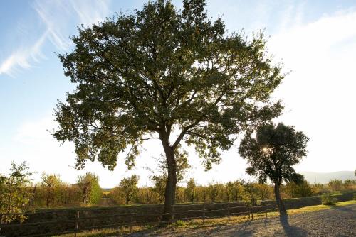 Castiglione della Pescaia House | Agriturismo Lucerna del Lago Prile