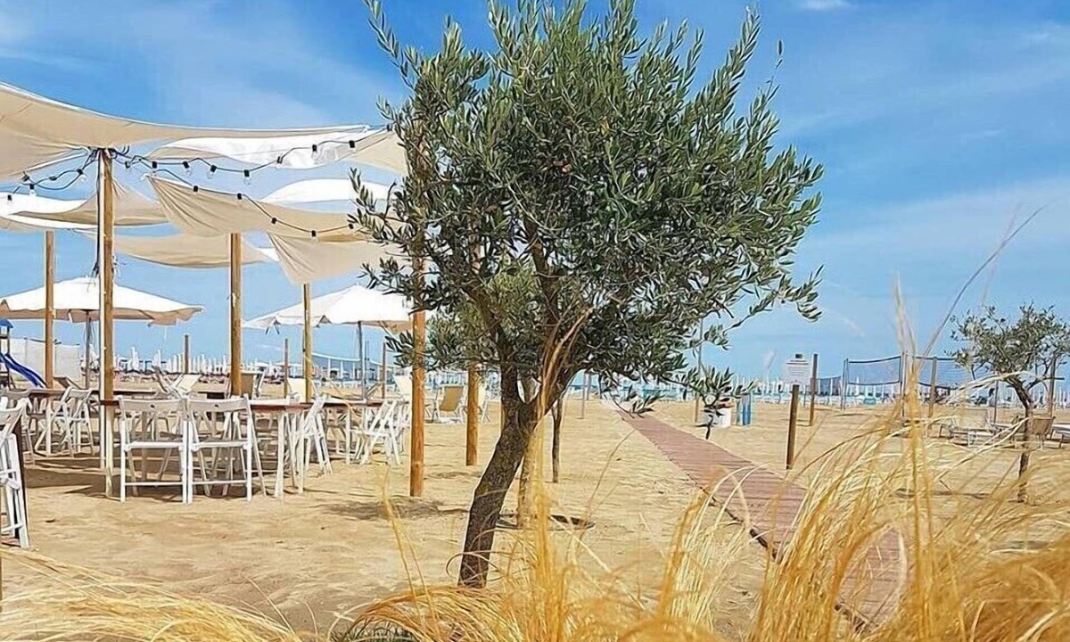 Marina di Ravenna Hotel | Alba Hotel