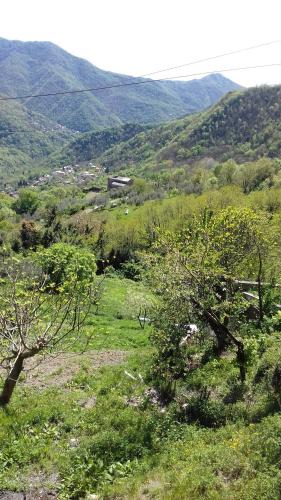 Uscio Hotel | Albergo Caprile
