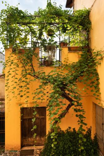Frascati Apartment | Appartamento con terrazza La Voliera di Bacco