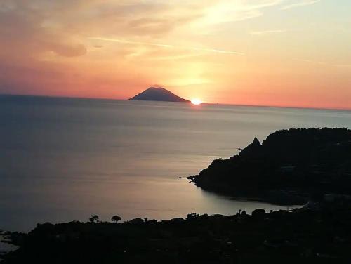 Coccorino Apartment | Appartamento Il Panorama