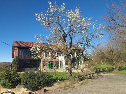 Castelnuovo don Bosco Bed & Breakfast | B&B Il vecchio pero