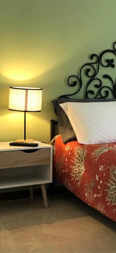 Pablo House | B&B Ospedale Maggiore Parma affittacamere