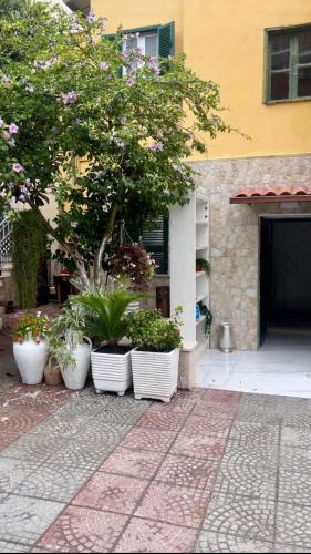 Prenestino-Centocelle House | B&B Rainforest