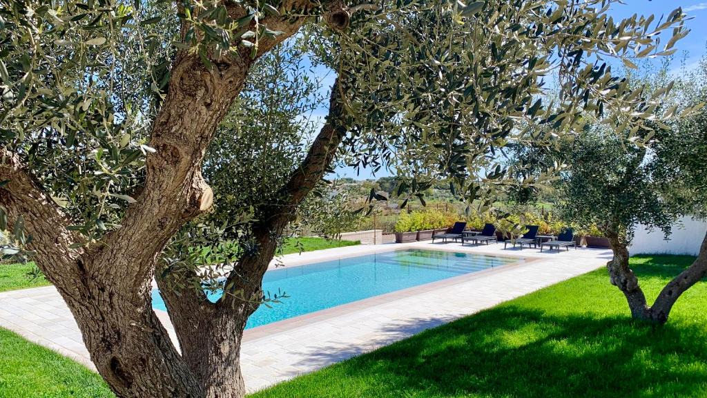 Locorotondo Bed & Breakfast | B&B Villa Maggi
