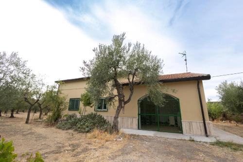 Lavello House | BAsicNature