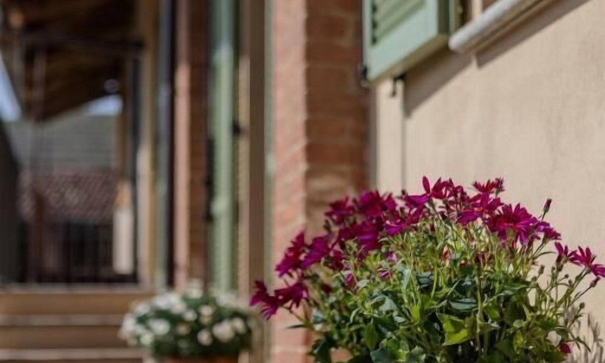 Monforte d'Alba House | Be Langhe in Monforte