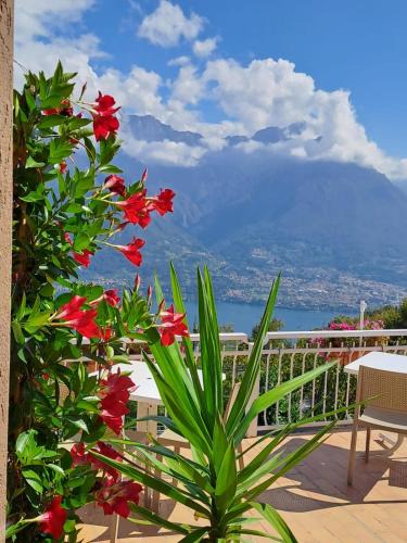 Civenna Bed & Breakfast | Bed & Breakfast Bellagio