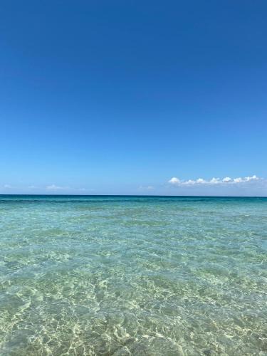 Rivabella Apartment | Bilocale sul mare