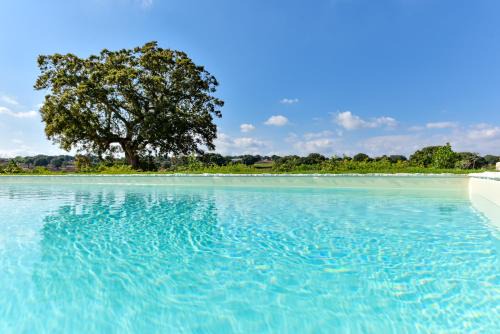 L'Assunta Villa | Borgo Aratico