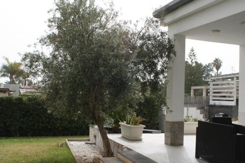 Brucoli Villa | Cannata's Home
