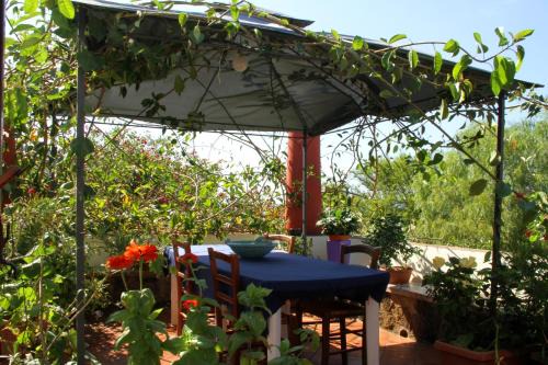 Ustica Bed & Breakfast | Casa Terranova