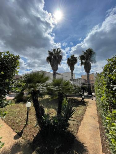 Marsala Apartment | Casa vacanze da Davide b&b