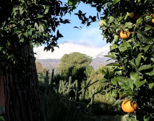 Macchia Apartment | ETNA MARE Jonio