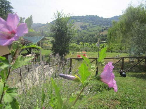 Monteleone House | Fattoria Bertaccini