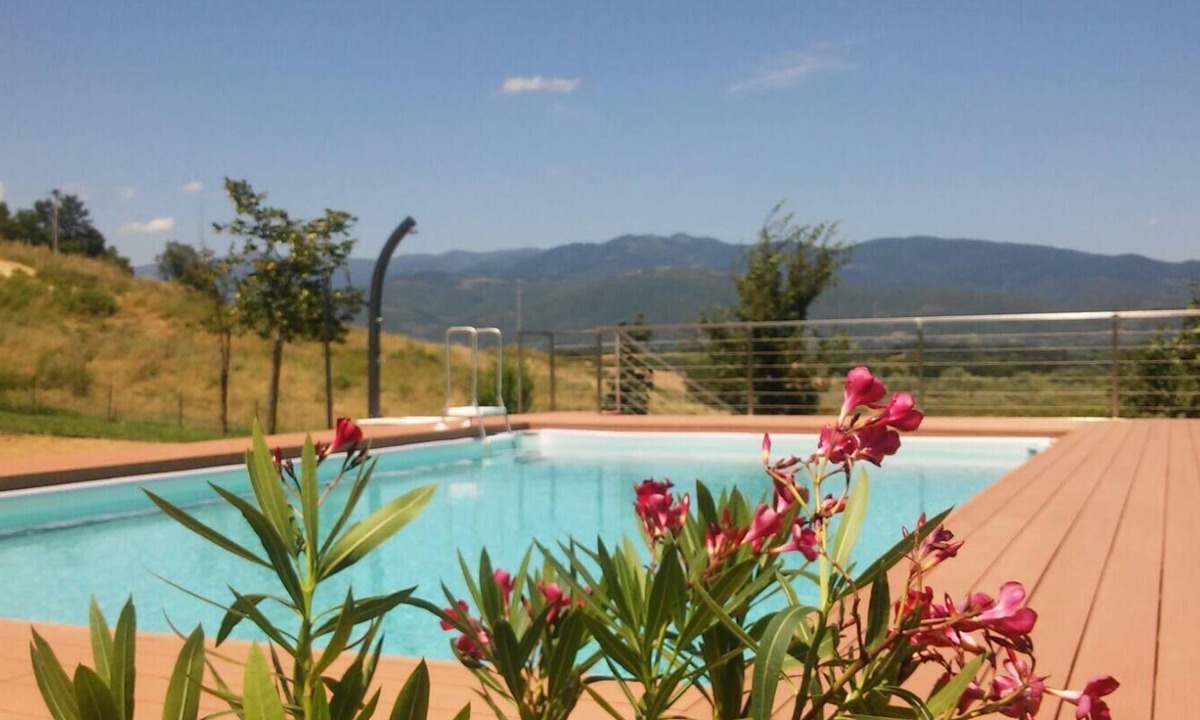Terranuova Bracciolini Other | Flat Lime Tree