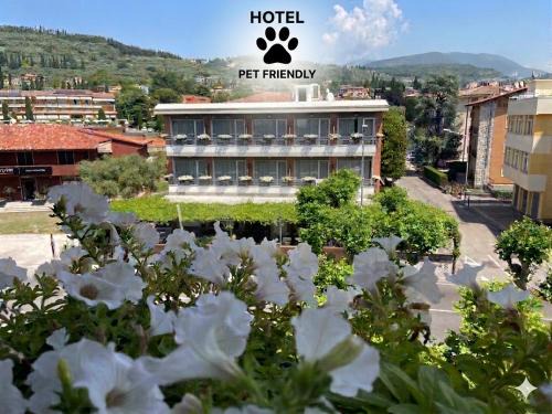 Garda Hotel | Hotel Benaco Garda *S