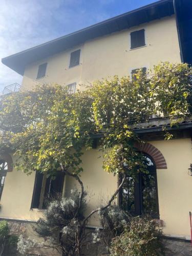 Pertica Bassa House | Il Brolo