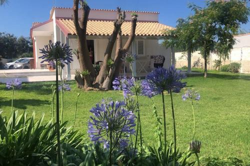 Maeggio Villa | Il Giardino di Marta - Casa Vacanze