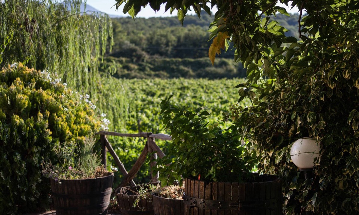 Montelaguardia House | L'Antica Vigna