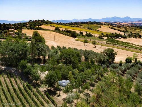 Corinaldo Other | La Bolla del Borgo. Le Marche tra le stelle.