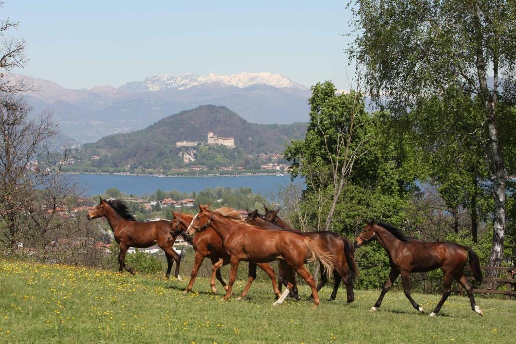 Dormelletto Bed & Breakfast | La Cucchetta