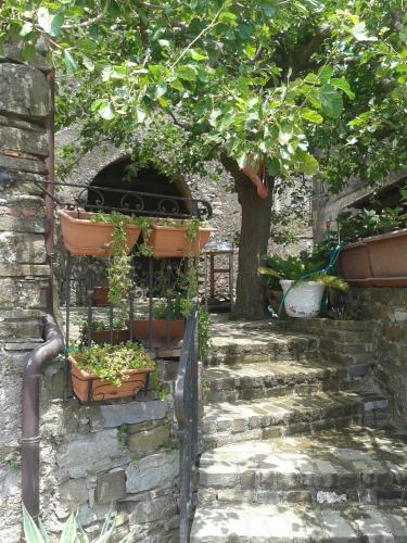 San Mauro Cilento House | La Vecchia Casa