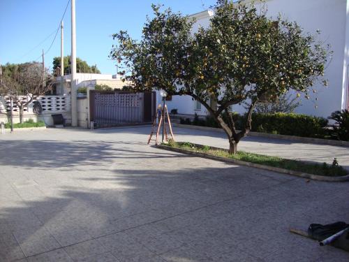 Lama Bed & Breakfast | La Villa Bianca