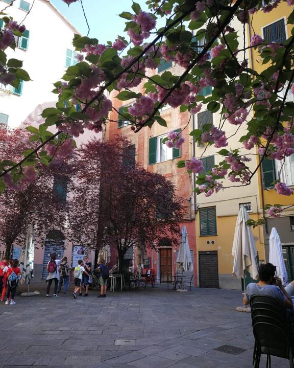Genoa Historical Centre Bed & Breakfast | Lavagna Uno
