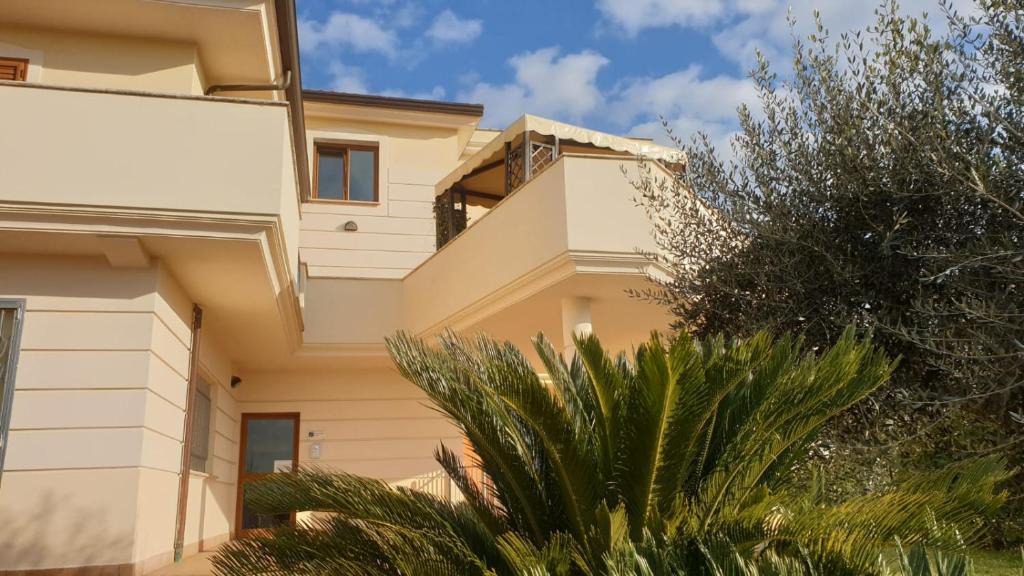 Piedimonte San Germano Bed & Breakfast | Loft 25