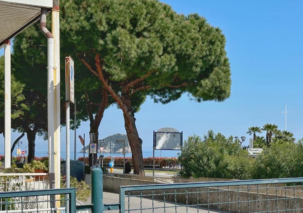 Spotorno Apartment | Mare e Relax - A due passi dalla spiaggia