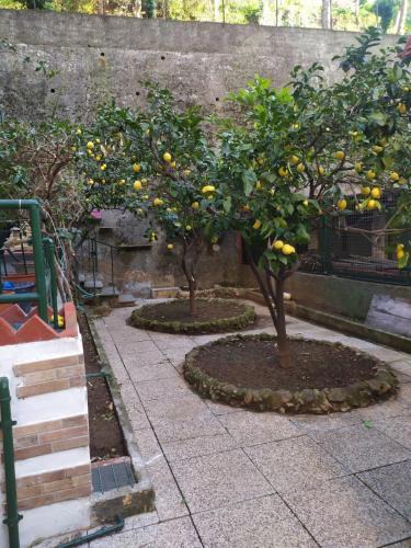 Pegli Apartment | oparavisegenova
