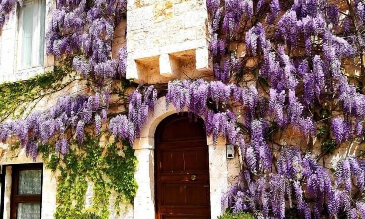 Conversano Hotel | Parco dei Manieri