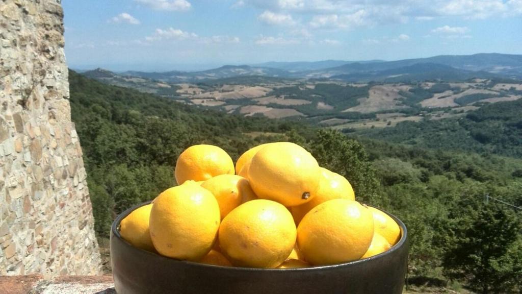 Castelnuovo di Val di Cecina Apartment | Podere Lama