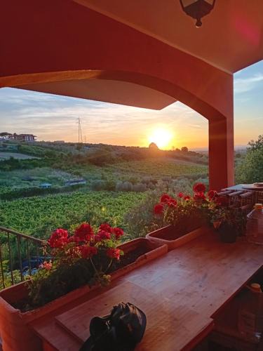 Frascati House | Poggio agli Ulivi vicolo di Colle Reti 22 Frascati