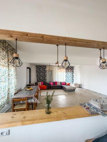 San Pietro House | Root and Rise