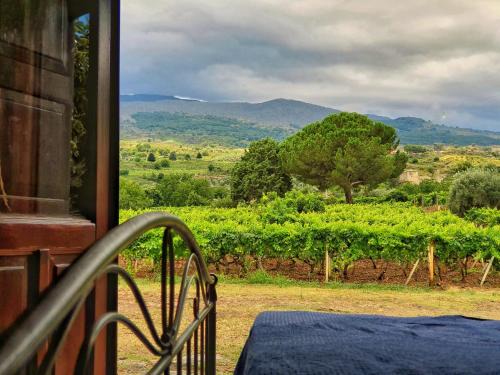 Passopisciaro House | Suite in vigneto