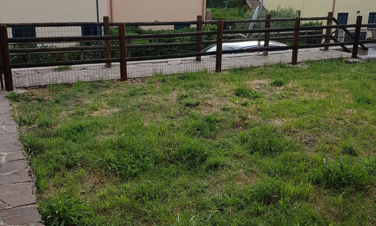 Castelpetroso Condo | Two rooms detached house with garden