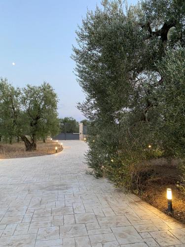Andria House | Villa Anna