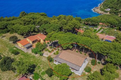 Madonna delle Grazie House | Villa Artistica