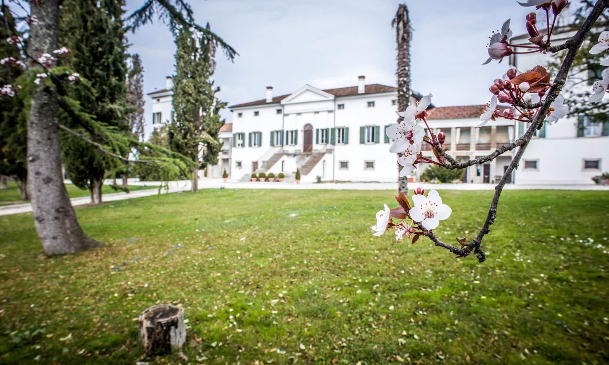 Buttrio House | Villa Dragoni