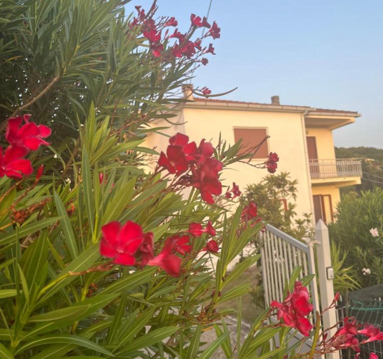 Palinuro House | Villa Giardino degli oleandri Palinuro