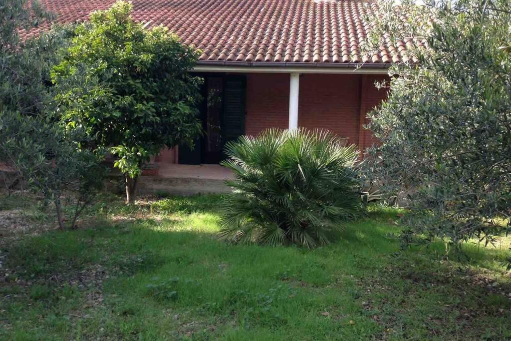 Ascoli Satriano Villa | Villa in campagna affacciata sul vigneto