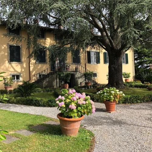 San Gennaro Villa | Villa Leoni