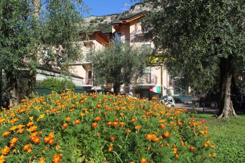 Bolognano-Vignole House | Villa Marina