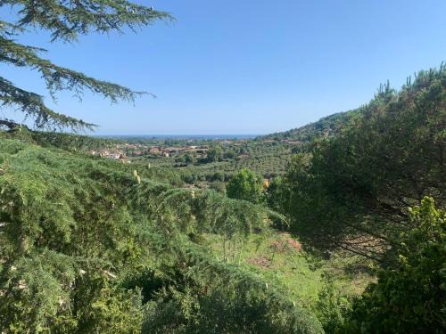 Casal Velino House | Villa Panorama