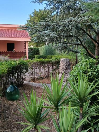 Andria House | Villa Rosa