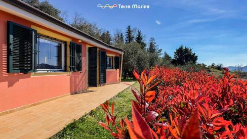 Ricco del Golfo di Spezia House | Villetta degli Ulivi, Terre Marine