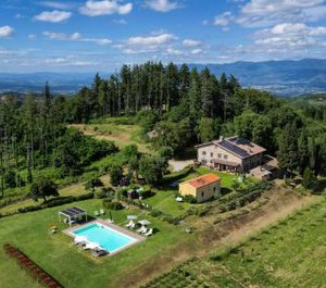 Montelucci 
