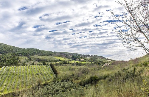 Villa Musone Apartment | A19 - Massignano, bright outbuilding surrounded by greenery